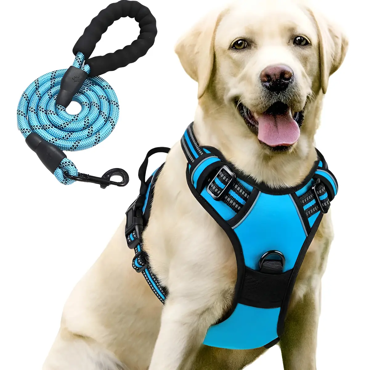 Arné Ajustable Reflectante Con Cinturón Seguridad Para Perro